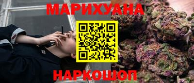МДПВ Камышлов