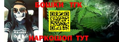 МДПВ Камышлов