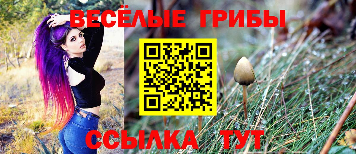Галлюциногенные грибы Magic Shrooms  Вход с VPN  Учалы 
